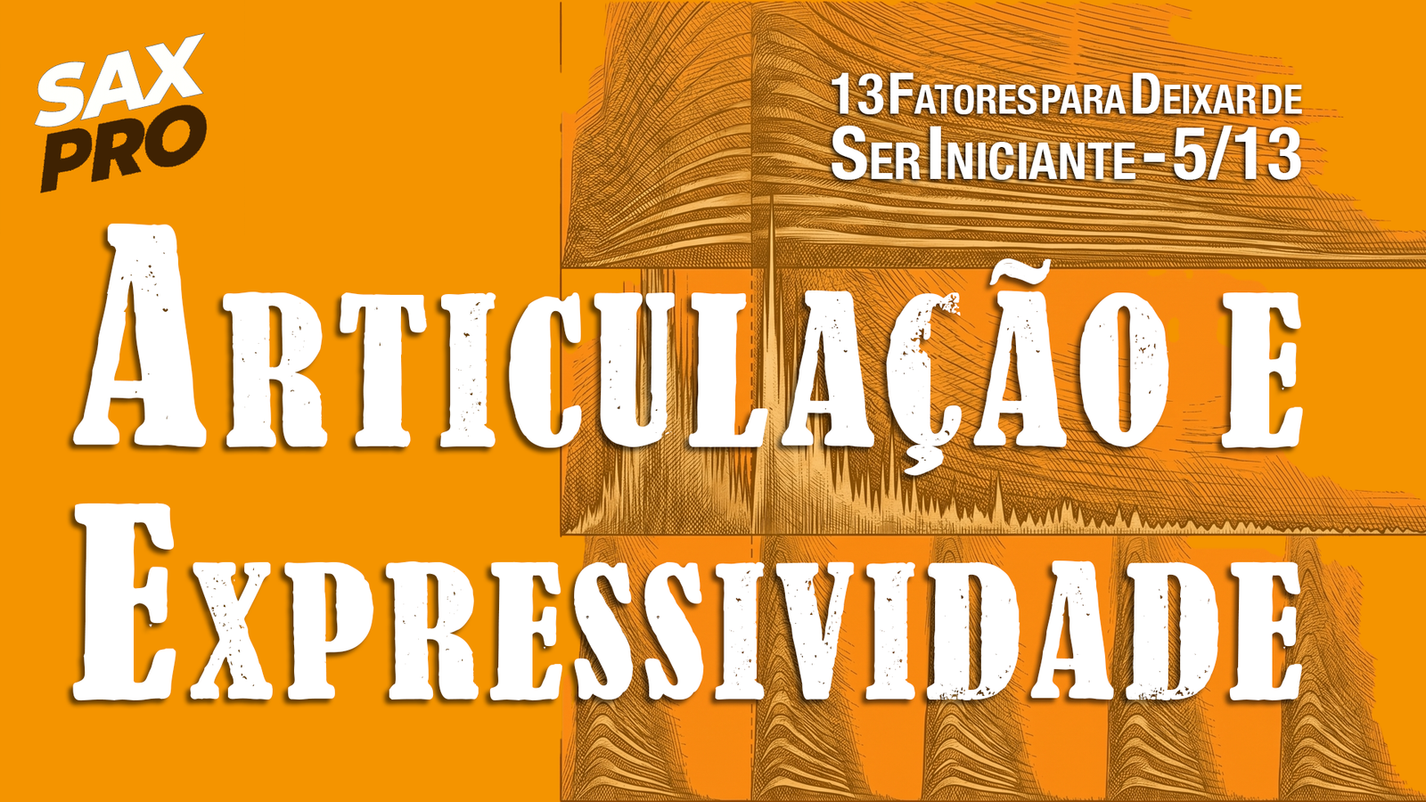 ARTICULAÇÃO E EXPRESSIVIDADE